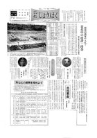 No.042の画像