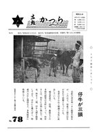 No.078の画像