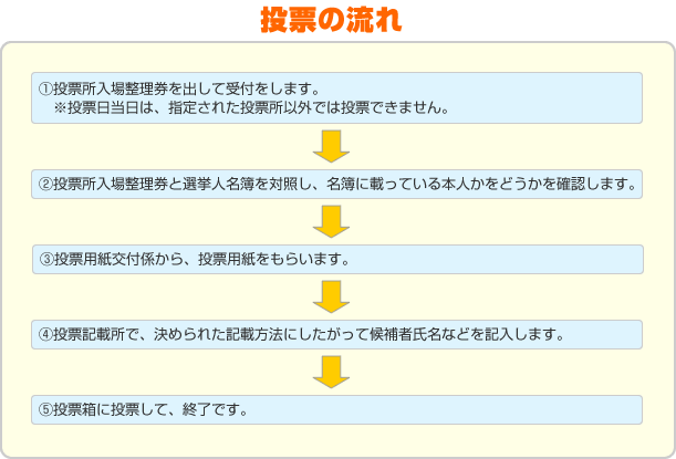 投票の流れ