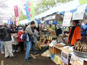 『千本桜まつり２０１９（３）』の画像