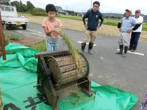 『2019稲刈り粟(3)』の画像