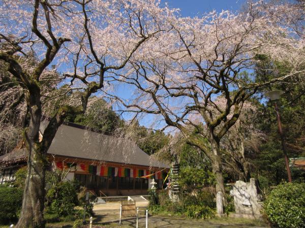 『『『『『『『『『『R2小松寺』の画像』の画像』の画像』の画像』の画像』の画像』の画像』の画像』の画像』の画像