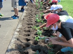 『石塚小学校１』の画像