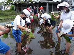 『『『石塚小学校2』の画像』の画像』の画像