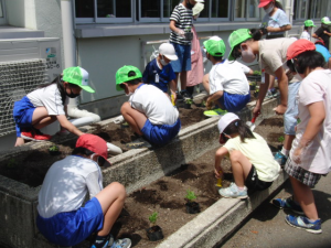 『『沢山小学校2』の画像』の画像