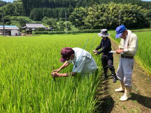 『現地研修会』の画像