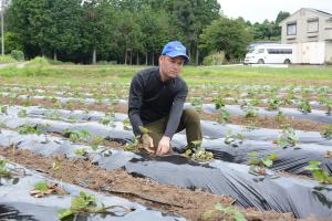 『サツマイモの苗を定植する上間隊員』の画像