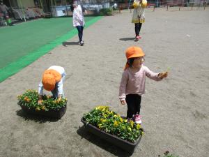 『4誕生会４』の画像