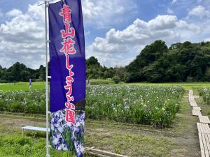 『花しょうぶ園会場』の画像