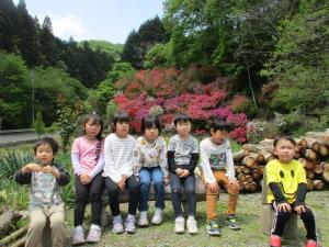 『ツリーハウス１０』の画像