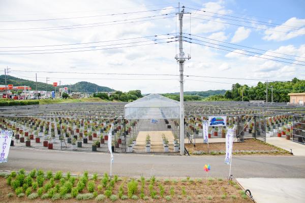 berry\'s parkしろさと(1)