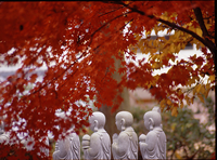 徳蔵寺