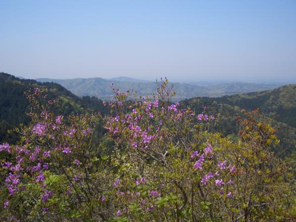 『『鶏足山からの眺め』の画像』の画像