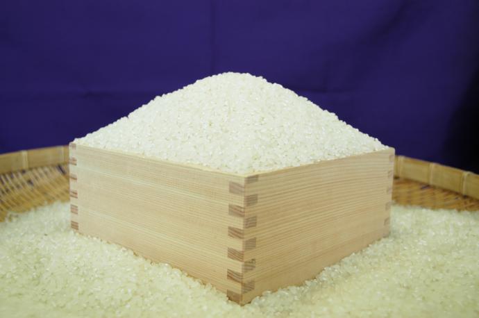 城里産米 4kg